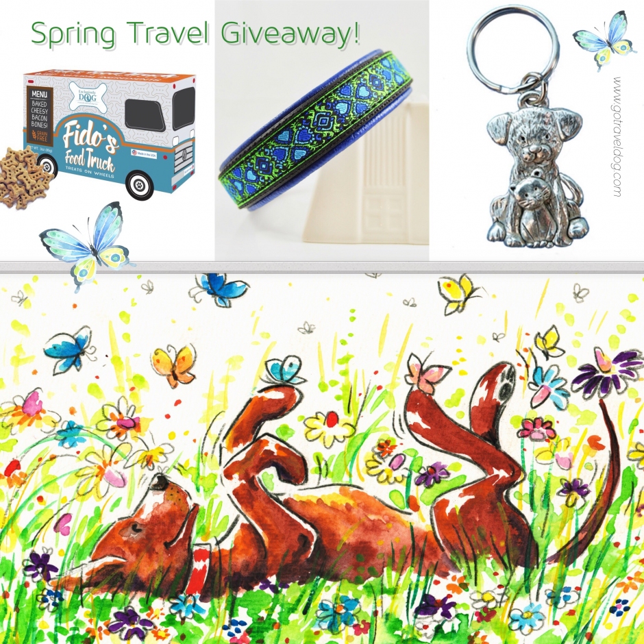 Pet-friendly travel springtime giveaway!